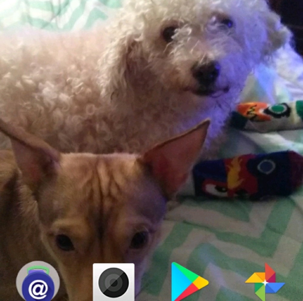 Meet your Posher, Kim